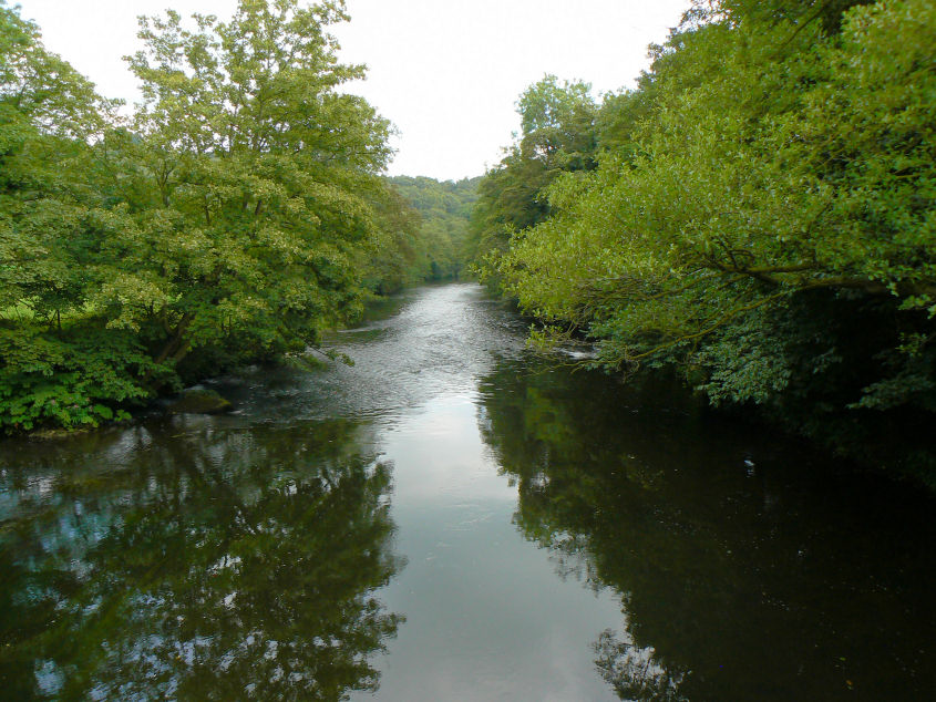 River Derwent River Derwent